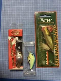 あま太郎様 リクエスト 2点 まとめ商品