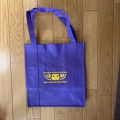 Item thumbnail for item 9c1c4ddb-39d8-425e-826b-359d9d9590d7