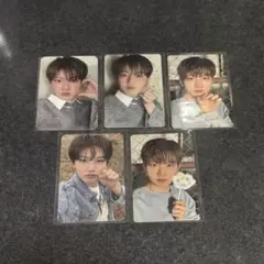 treasure トレカ ジュンギュ まとめ売り セット pleasure