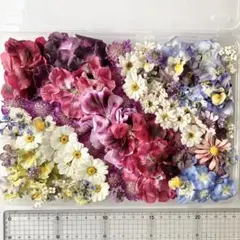 しず様専用‼️No.149 訳ありmixたっぷりドライフラワー