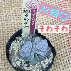 2026年最新】おらいさん そわそわの人気アイテム - メルカリ