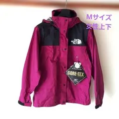 お値下げ⭐未使用　THE NORTH FACE GORE-TEX 上下セット