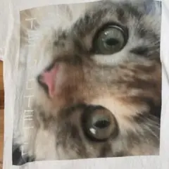 面白いネコ顔面TシャツSホワイト可愛い