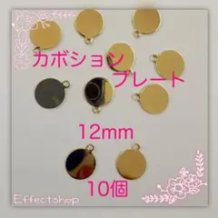 カボションプレート12