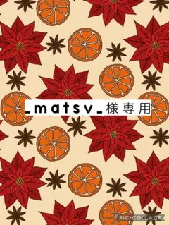 _matsv_様専用　　マルチクリップ➕シューズクリップ