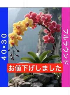 ダイヤモンドアートキットN-1030山の蘭の花 ビーズ アート ハンドメイド