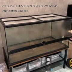 2026年最新】グラステラリウムの人気アイテム - メルカリ