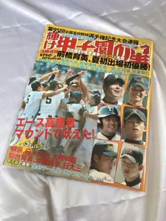 スポーツ雑誌 輝け甲子園の星 1995年夏の大会 日刊スポーツ 帝京優勝