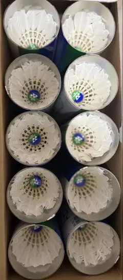 Item thumbnail for item d1cb5d88-abaf-4d74-97c8-cc60ad800e34