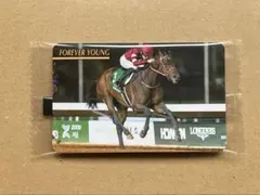 J338 フォーエバーヤング まねき馬倶楽部　競馬　カード