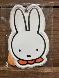 ミッフィー　ハウステンボス限定　パスケース