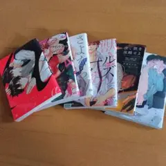 ボーイズラブ漫画 全巻セット