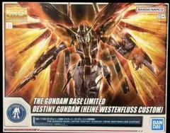 2025年最新】MG ハイネ専用デスティニーガンダムの人気アイテム