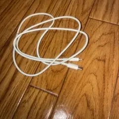 iPhone 14ケーブル純正品 Apple