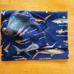 ランチョンマット ランチマット　40×60 ナフキン 小学校　給食セット