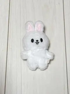 Stray Kids SKZOO リービット Leebit 10cmぬい