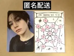 Straykids DO IT PLATFORM PLVE VER. トレカ