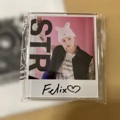 Stray Kids SKZ TOYWORLD アクリルマグネット フィリックス