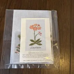 Couturier キリンソウ 刺繍キット Couturier キリンソウ 刺繍キット - メルカリ