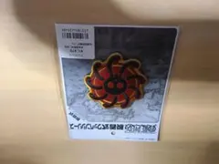 COSPA ワンピース　九蛇海賊団 脱着式ワッペン