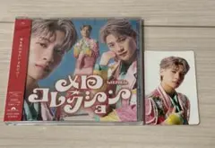 メロコレ 芳賀柊斗盤
