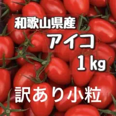 小粒！訳あり！和歌山県産ミニトマトアイコのサムネイル
