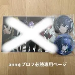 ann※プロフ必読専用ページ
