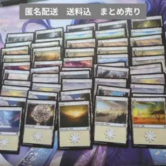 MTG　基本土地　　平地/Plains　50枚まとめ売り　#1