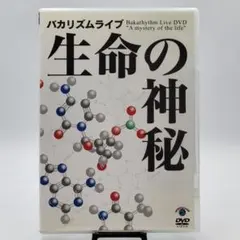 BH 4様 リクエスト 2点 まとめ商品