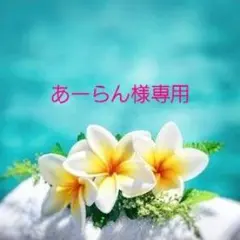 あーらん様専用