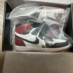 NIKE Air Jordan 1 ナイキ BLACK TOE ガチャ