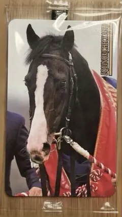 イクイノックス ホースレーシングカード 世界限定 ルメール ケース台座付 Amazon.co.jp: イクイノックス ホースレーシングカード 世界限定