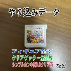 大乱闘スマッシュブラザーズ3DS やり込みデータ