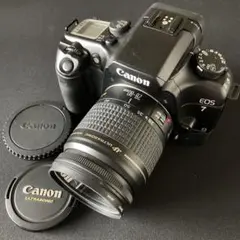 Item thumbnail for item 40abca38-0338-4a80-9c17-76a78a995cc1