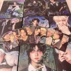 エンティーム K-POP