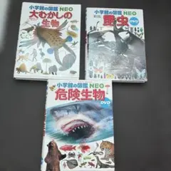 動作確認済】小学館の図鑑neo dvd 4枚 / 図鑑DVD / 学習教材 - メルカリ