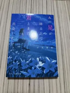 あの星が降る丘で、君とまた出会いたい。 汐見夏衛