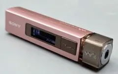 2026年最新】sony nw-m505の人気アイテム - メルカリ