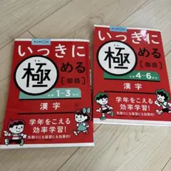 いっきに極める（国語） 1-3年生・4-6年生セット　公文　漢字