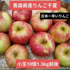青森県産 りんご 千夏 小玉10個 1.3kg前後のサムネイル