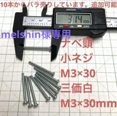 melshin様専用　ナベ頭　小ネジ　M3×30