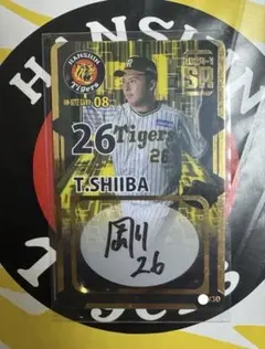 阪神タイガース 椎葉剛選手 2024-1 SR オンサイトカード 直筆サイン入り