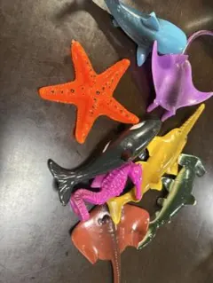 海の生き物 フィギュア 8点まとめ売り