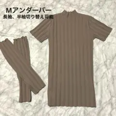 Item thumbnail for item 1193c102-f6cd-42f0-9c47-337c0fe570e9