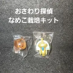 ☆おさわり 探偵なめこ 栽培キット☆