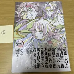 鬼滅の刃無限城編 第一章猗窩座再来 入場者特典 第12弾 鬼殺隊副読③
