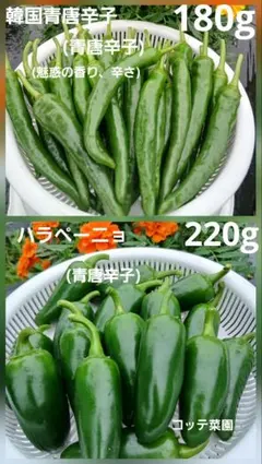 ハラペーニョ　220g　韓国青唐辛子　180g ハーフ&ハーフ　合計400gのサムネイル