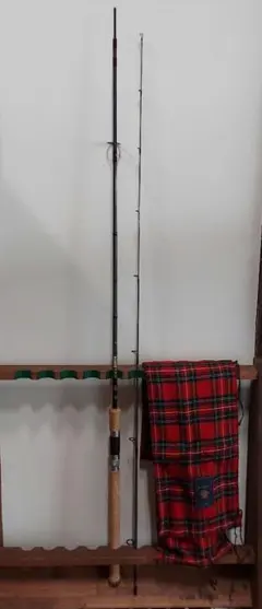 2026年最新】トラウトスピン ザウルスの人気アイテム - メルカリ