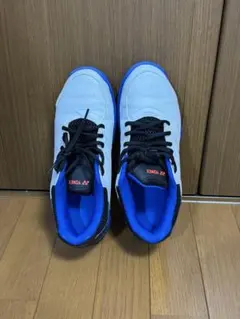 Item thumbnail for item e095f366-3535-4cbc-acd6-54ba8f65042c