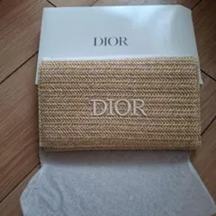 【新品・未使用】Dior 刺繍ロゴ クラッチバッグ ベージュ　ノベルティ